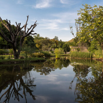 Cómo elegir el mejor jardín para tu boda en México
