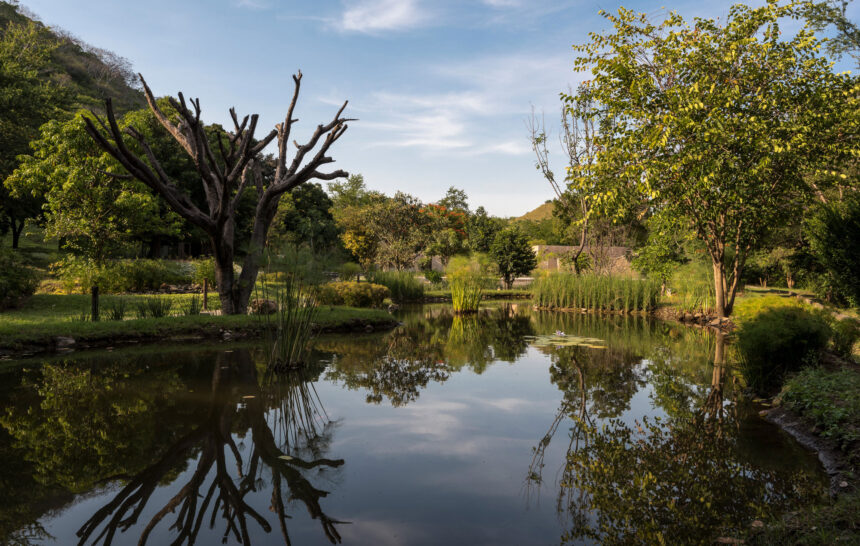 Cómo elegir el mejor jardín para tu boda en México