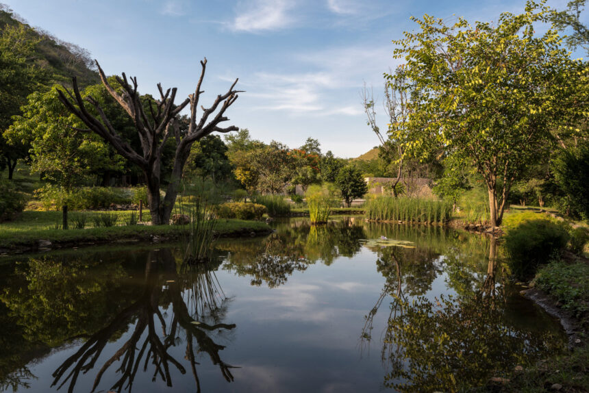 Cómo elegir el mejor jardín para tu boda en México