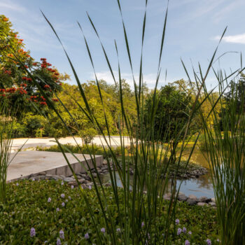 Bodas destino en México: por qué Cuernavaca es el lugar ideal para tu gran día