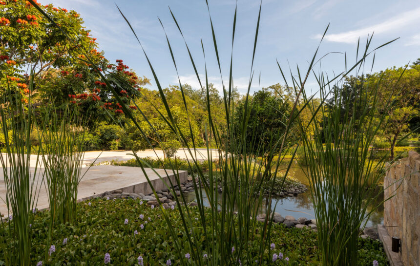 Bodas destino en México: por qué Cuernavaca es el lugar ideal para tu gran día
