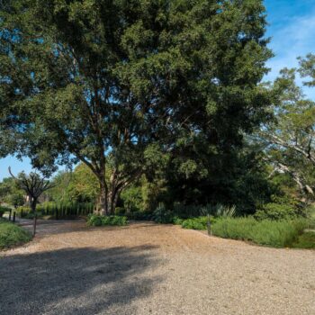 Jardines para bodas en Cuernavaca: la guía definitiva para encontrar el lugar perfecto