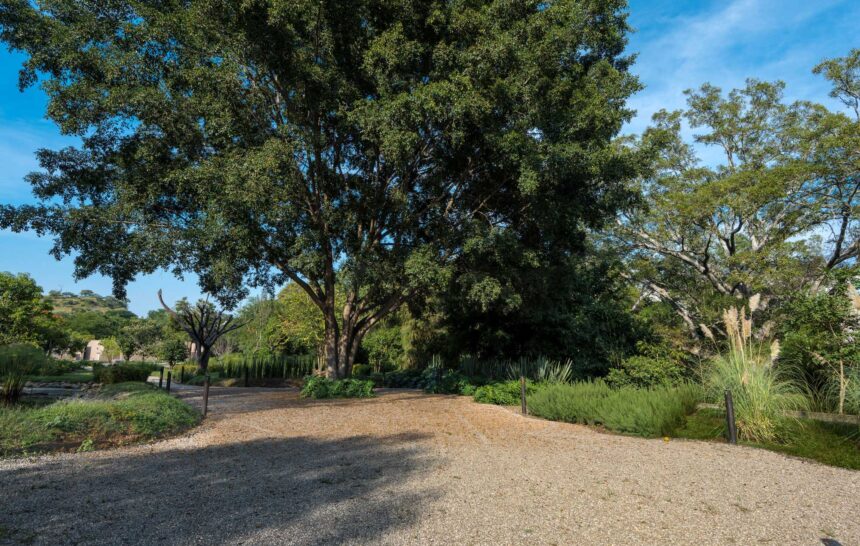 Jardines para bodas en Cuernavaca: la guía definitiva para encontrar el lugar perfecto