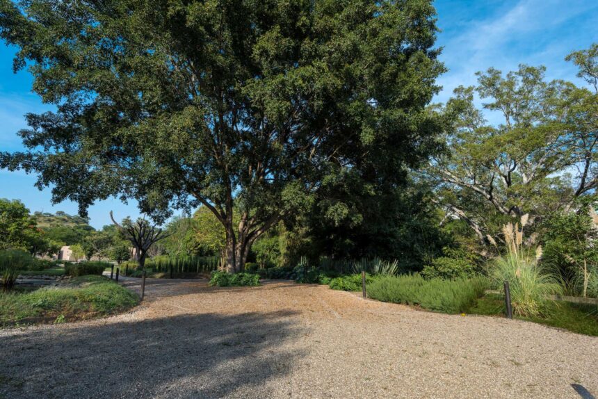 Jardines para bodas en Cuernavaca: la guía definitiva para encontrar el lugar perfecto