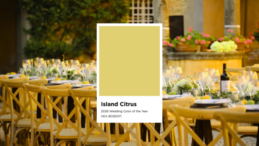 10 ideas de bodas temáticas en jardín