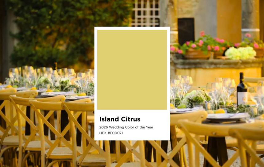 10 ideas de bodas temáticas en jardín