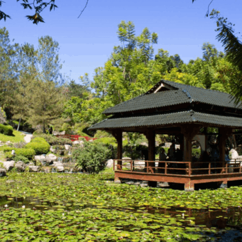 Jardines en Cuernavaca: por qué Morelos es la mejor opción cerca de CDMX