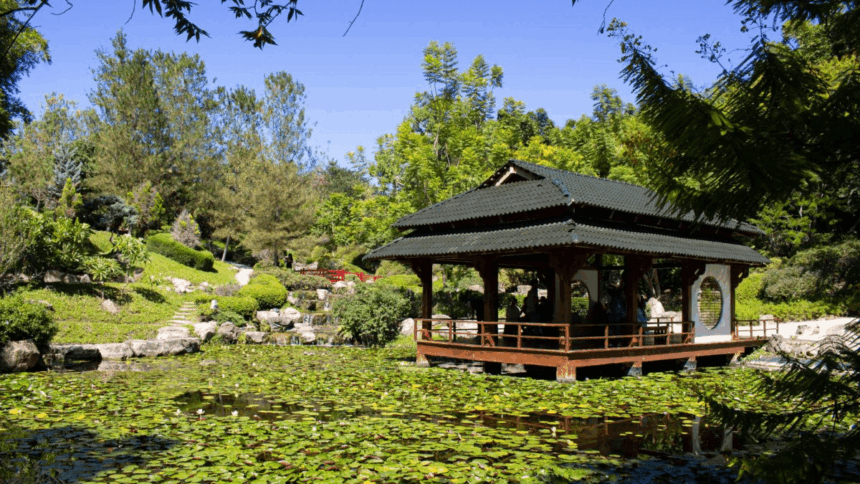 Jardines en Cuernavaca: por qué Morelos es la mejor opción cerca de CDMX