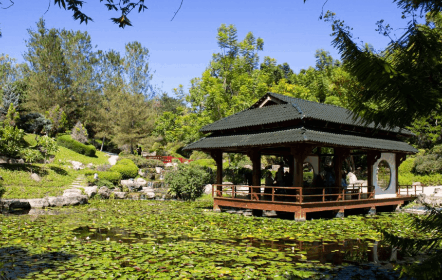 Jardines en Cuernavaca: por qué Morelos es la mejor opción cerca de CDMX